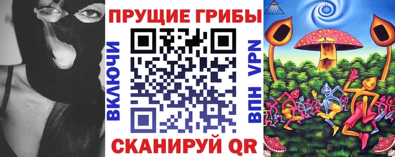 Купить где  Духовщина  Псилоцибиновые грибы MAGIC MUSHROOMS 