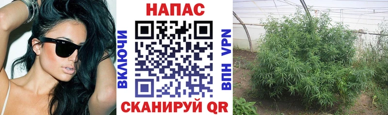 Конопля тримм  Купить  Духовщина 